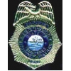 TENNESSEE STATE POLICE PIN MINI BADGE PIN